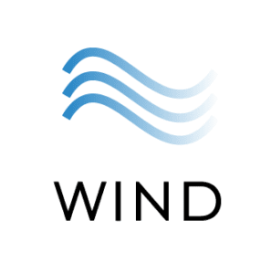light blue wave icon above the word wind